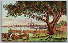 Vintage Postcard The Treaty Elm on the Delaware River Philadelphia Pa. *C5649 picture