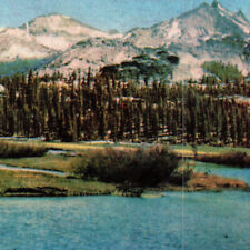 Vintage 1954 Postcard California Yosemite National Park High Sierra Landscape91 picture