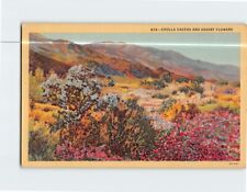 Postcard Cholla Cactus and Desert Flowers picture