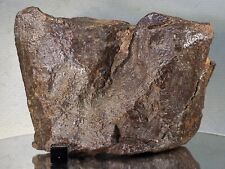 NWA XXXX 946g unclassified meteorite, interesting shape, nice handful picture