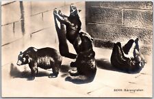 Bern Zoo, The Four Black Bear Pit Switzerland Old Vintage Postcard picture