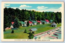 Wolverine Wisconsin Postcard Silver Lake Resort Birds Eye View Waterfront 1940 picture