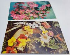 2 Vintage 1950s Floral Greetings Postcards Auto Roses picture