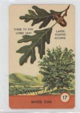 1962 Ed-U-Cards Tree Spotter Cards White Oak #17 0e2x picture