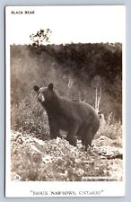 J88/ Sioux Narrows Ontario Canada RPPC Postcard c1940s Bear 490 picture