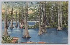 Franklin Virginia, Cypress Cove Country Club, View from Porch, Vintage Postcard picture