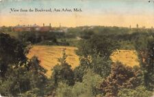 View from the Boulevard Ann Arbor Michigan MI 1918 Postcard picture