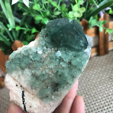 269g  Natural green fluorite quartz crystal cluster   sample mh214 picture