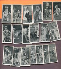 1936 CARRERAS LTD CIGARETTES DOGS & FRIENDS 25 DIFFERENT TOBACCO CARD LOT picture