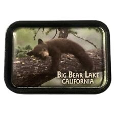 Big Bear Lake California Bear Cub Travel Souvenir Pin picture