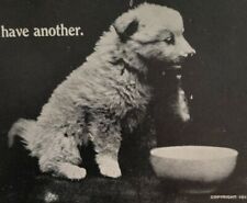 Comic Postcard Let's Have Another Puppy Dog Drinking Milk From Bowl 1911 picture