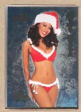 Denyce Lawton 5 2005 Bench Warmer (Regular) Holiday Foil picture