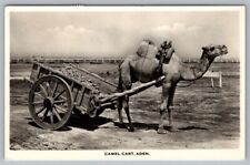 RPPC Postcard Aden Yemen Camel Cart picture