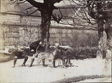 Armand Dandoy (attr.à), Belgium, Vintage Greyhound Watching Men print ti picture
