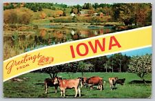 Postcard - Greetings from Iowa - Split View, Cows - ca. 1970s, Unposted (M7k) picture