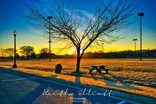 8x12 Photograph of Sunrise behind a Tree in Anacostia Park in Washington D.C. picture