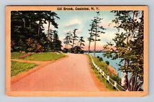 Ossining NY-New York, Kill Brook, Antique, Vintage Postcard picture