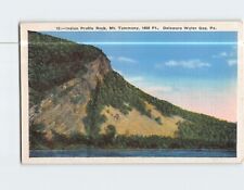 Postcard American Indian Profile Rock Mt. Tammany Delaware Water Gap PA USA picture