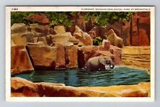 Brookfield, IL-Illinois, Elephant At Chicago Zoological Park , Vintage Postcard picture