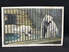 Vintage 1928 Postcard - Polar Bears At The Philadelphia Zoo picture