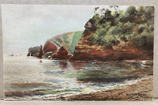 Arthur W Perry Bathing Cove Dawlish England Bishop and Toad Rock Postcard picture