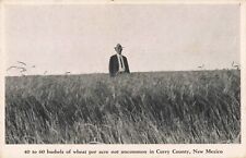 Man in Wheat Field Curry County New Mexico NM Clovis c1920 Postcard picture