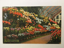 Interior Conservatory Washington Park Chicago Illinois 1947 Vintage Postcard picture