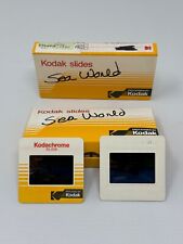 LOT of 24 Color Transparency Kodak Slides - Sea World San Diego - Vintage 1986 picture