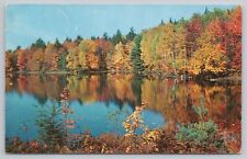 Beautiful Dorset Lake Bays Canada Bright Colors Chrome Postcard Vtg Posted picture