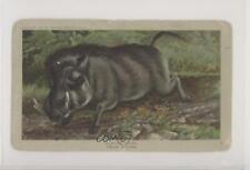 1890 Arbuckle Bros Zoological Vlacke Vark #7 z6d picture