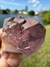 Auralite 23 Multi Record Keepers Crystal Point from Canada 62 grams 2