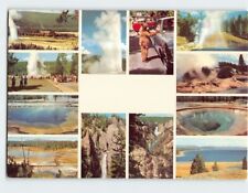 Postcard Yellowstone National Park Wyoming USA picture
