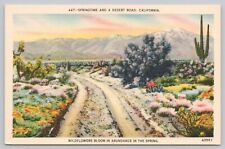 Postcard Springtime Desert Road California Wildflowers picture