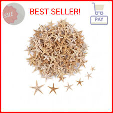 100 Pcs Small Starfish Star Sea Shell Beach for Craft 0.4