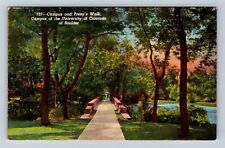 Boulder CO-Colorado, Campus, Prexy's Walk, University Of CO, Vintage Postcard picture
