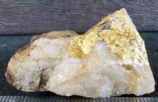 Gold Ore Specimen 26.8 Crystalline Gold Very Nice 3664 picture