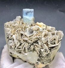 720G Beautiful Rare Edge Termination Aquamarine Crystal Combined With Muscoviite picture