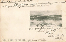 Hector NY New York, Sea Weed Souvenir Card, Ocean Surf, Vintage Postcard picture