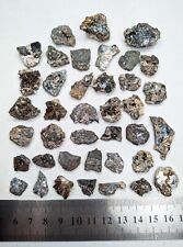 Sagenite var of Rutile with hematite (40 small pieces lot)  picture