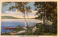 The Shore Of Moosehead Lake Maine ME Vintage Linen Postcard Canoes picture