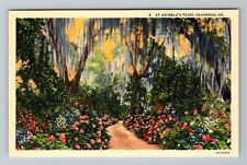 Savannah GA-Georgia Grimple's Point Gardens Moss Covered Oaks Vintage Postcard picture