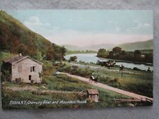 Antique Chemung River And Mountain House, Elmira, New York UDB Postcard 1906 picture