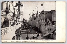 Coney Island c1900's Luna Park New York NY Vintage Postcard picture