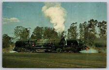 eStampsNet - South African Railway 4-8-2 No. 4142 Postcard  picture