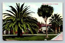 California Residence Street Three Varieties of Palms Postcard picture