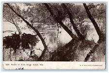 1908 Shaes of Rock River, Beloit Wisconsin WI Antique Posted Postcard picture