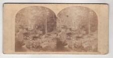 Indian Glen, Hudson River, London Stereoscopic Company, ca. 1865 picture