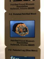 VINTAGE Petrified Forest National Park Arizona 35mm Travel Slides 1970’s Set #4 picture