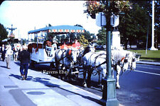 35MM Found Photo Horse Drawn Carriage Red Border 1950s picture