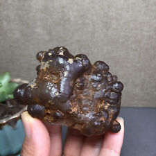 140g Bonsai Suiseki-Natural Gobi Agate Eyes Stone-Rare Stunning Viewing A1585 picture